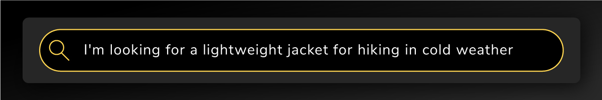Search bar that says ' I’m looking for a lightweight jacket for hiking in cold weather'